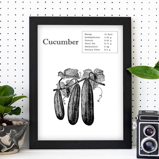 Poster de Cucumber. Láminas de frutas y verduras en inglés.-Artwork-Nacnic-Nacnic Estudio SL