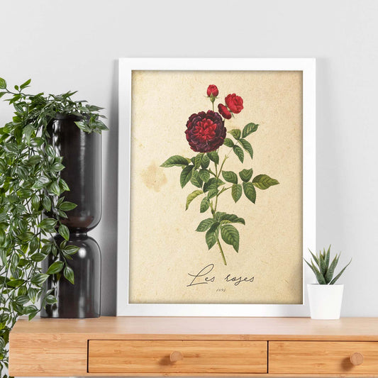 Poster de flores vintage. Lámina Les Roses 2 con diseño vintage.-Artwork-Nacnic-Nacnic Estudio SL