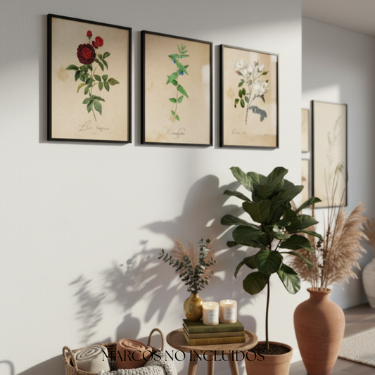 Pack de Láminas Botánicas Mediterráneo de Alta Calidad