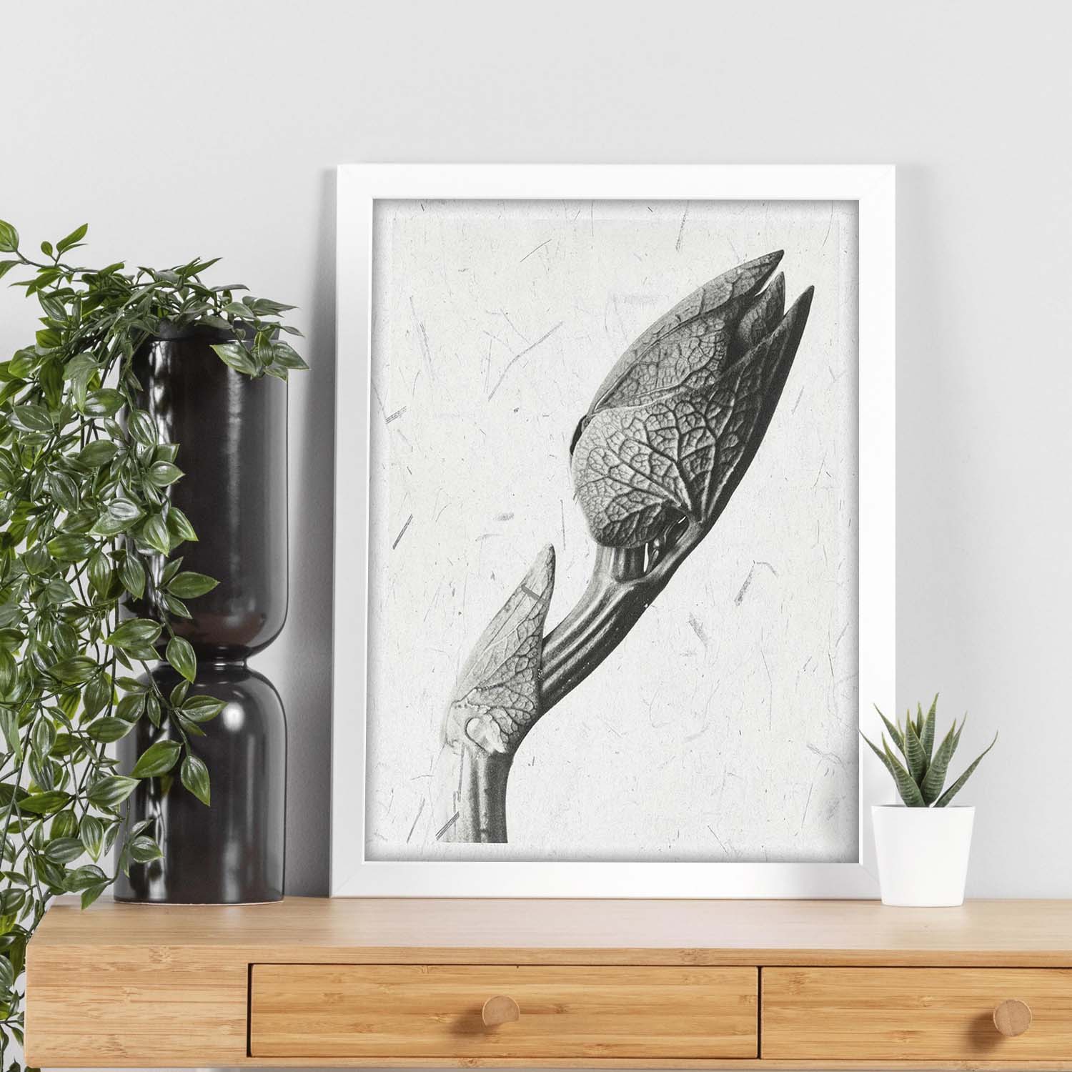 Lámina Planta blanco y negro 31. Pósters con ilustraciones de flores y plantas en tonos grises.-Artwork-Nacnic-Nacnic Estudio SL
