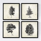 Set de cuatro láminas de arboles. Arboles diferente estructura en cm, fondo papel antiguo vintage .-Artwork-Nacnic-Nacnic Estudio SL
