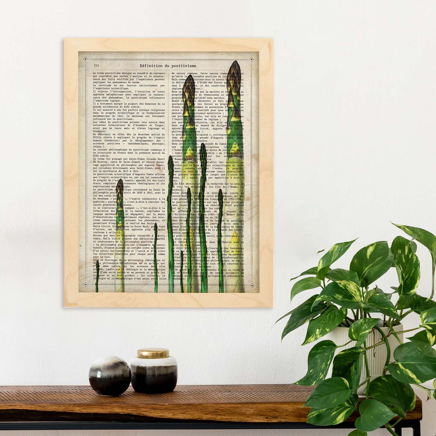 Poster de Esparragos. Láminas de frutas y verduras con definiciones. Ilustraciones de alimentacion vegetariana.-Artwork-Nacnic-Nacnic Estudio SL