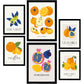 Food and Plants Posters. Round Fruits. Nature and Botany-Artwork-Nacnic-Nacnic Estudio SL