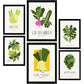 Food and Plants Posters. Green Veggies. Nature and Botany-Artwork-Nacnic-Nacnic Estudio SL