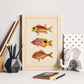 Lámina de tres peces naranjas, rojos y amarillos en , fondo papel vintage.-Artwork-Nacnic-Nacnic Estudio SL