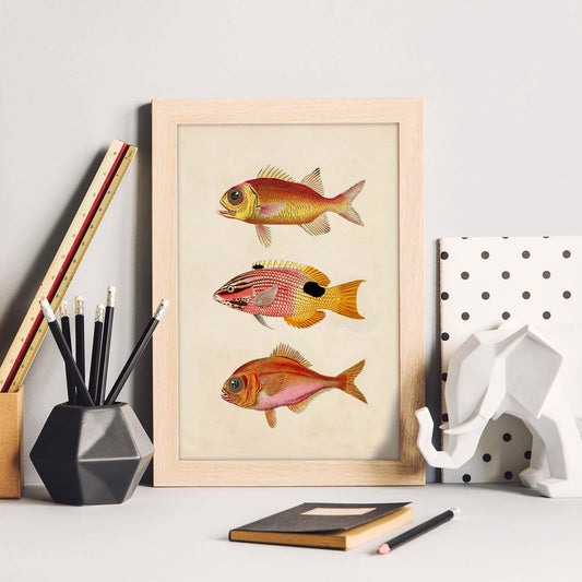 Lámina de tres peces naranjas, rojos y amarillos en , fondo papel vintage.-Artwork-Nacnic-Nacnic Estudio SL
