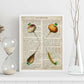 Poster de 4 rabanos. Láminas de frutas y verduras con definiciones. Ilustraciones de alimentacion vegetariana.-Artwork-Nacnic-Nacnic Estudio SL