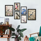 Nacnic Set de 6 Láminas de Ilustraciones de Pájaros