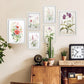 Nacnic Set de 6 Láminas de Orquídeas y Clavel