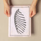 Paillou Ribs-Artwork-Nacnic-Nacnic Estudio SL