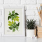 Parsley-Artwork-Nacnic-Nacnic Estudio SL