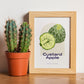 Custard Apple-Artwork-Nacnic-Nacnic Estudio SL