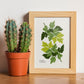 Parsley-Artwork-Nacnic-Nacnic Estudio SL