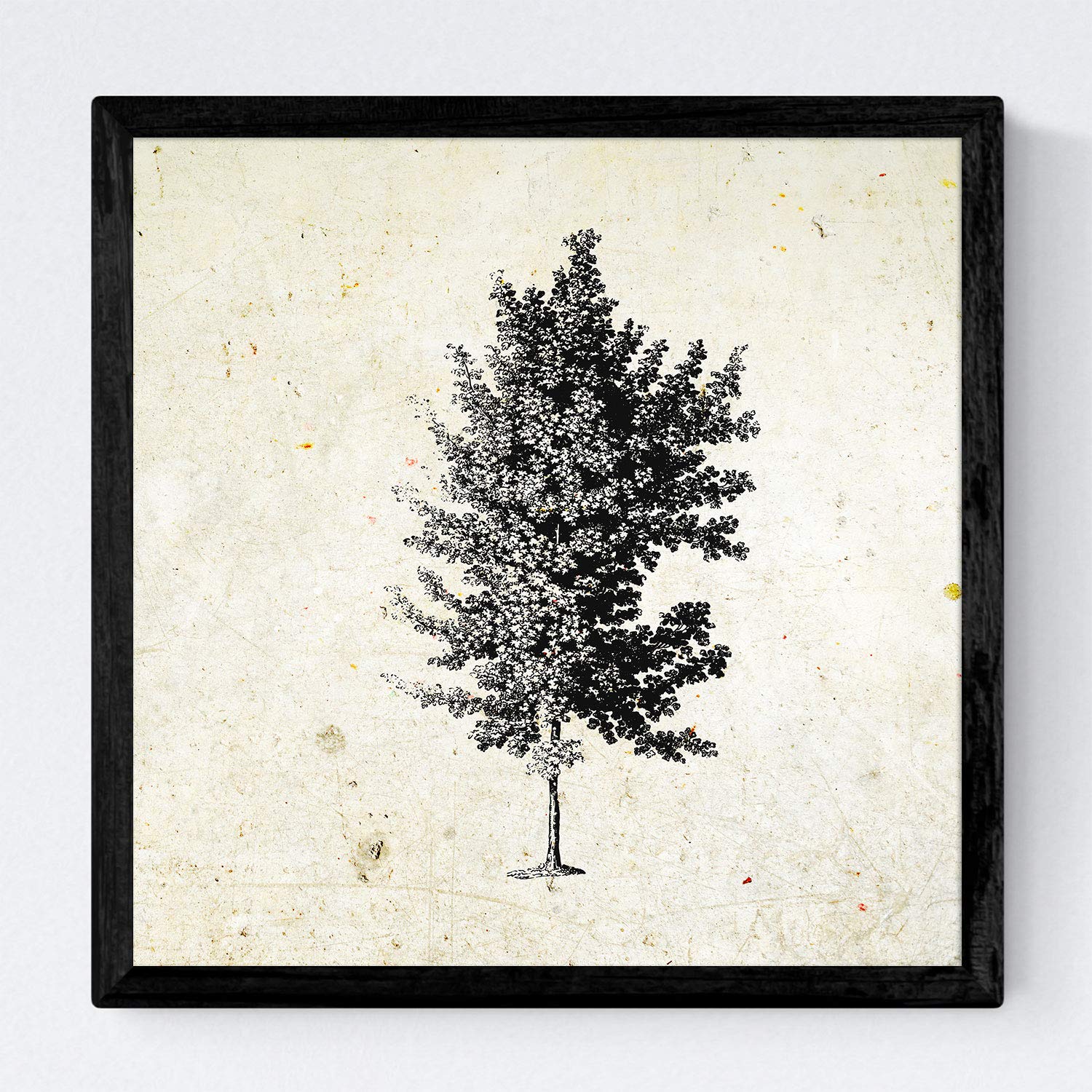 Set de cuatro láminas de arboles. Arboles diferente estructura en cm, fondo papel antiguo vintage .-Artwork-Nacnic-Nacnic Estudio SL