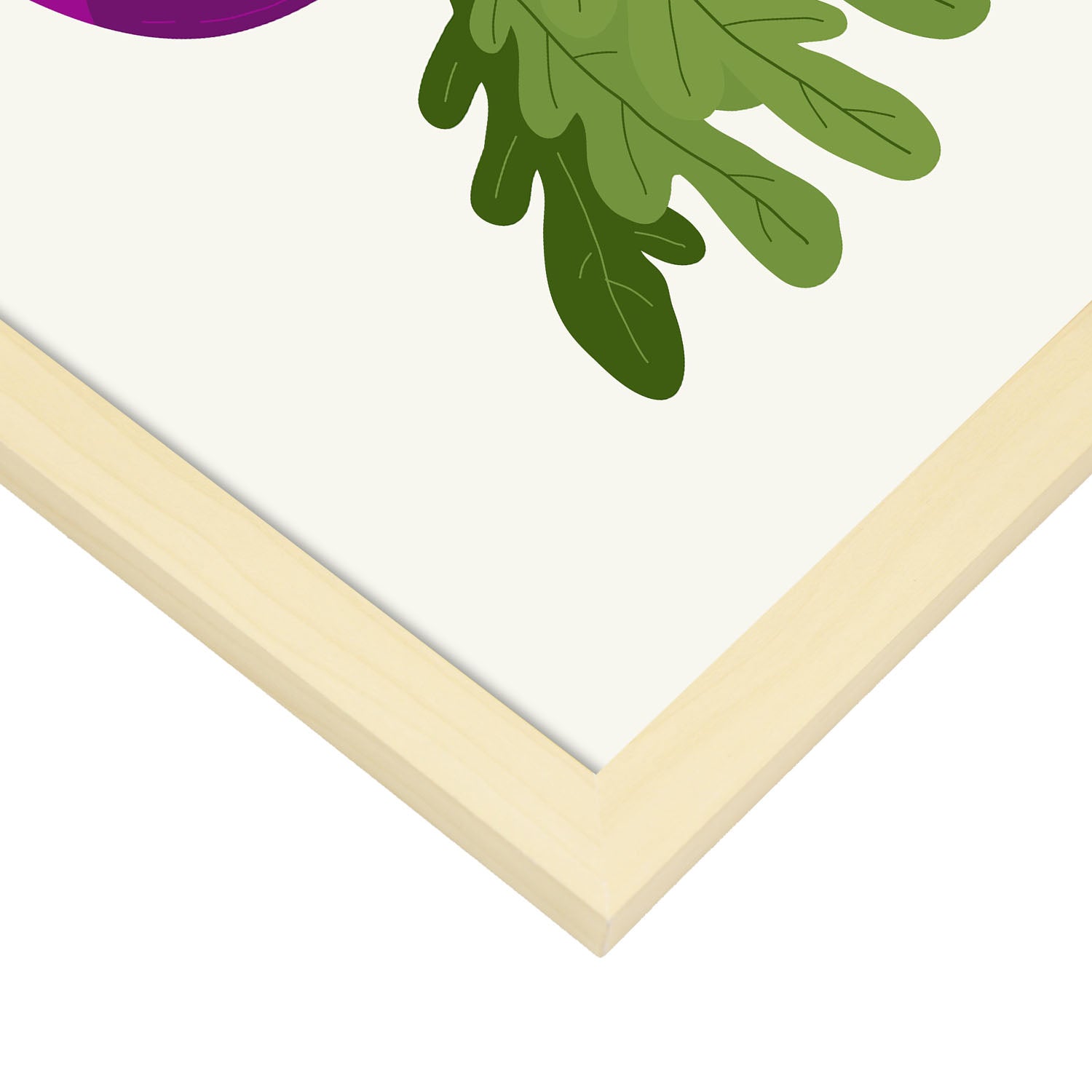 Turnip-Artwork-Nacnic-Nacnic Estudio SL
