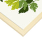Parsley-Artwork-Nacnic-Nacnic Estudio SL