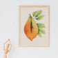 Nacnic Minimalista Papaya_2 Láminas