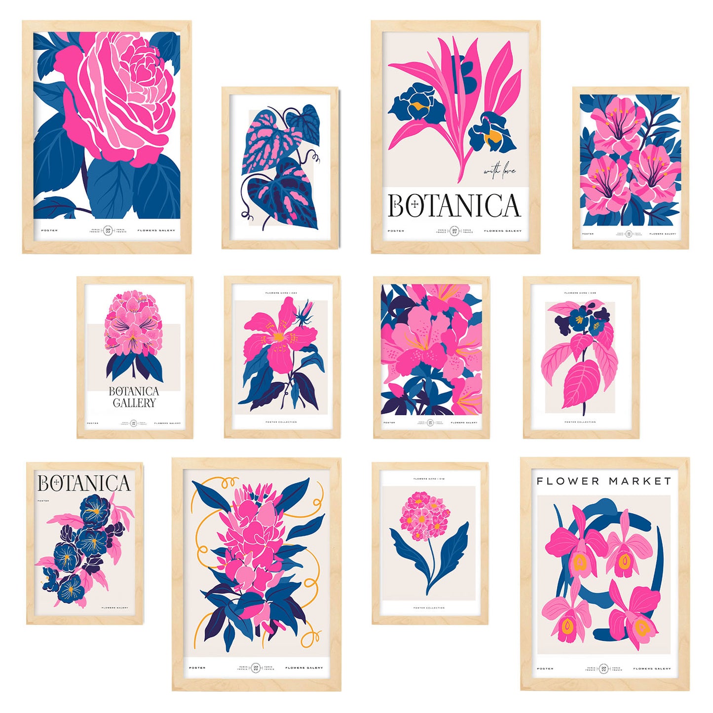 Conjunto de 12 Láminas Botánicas Elegantes con Marco de Color