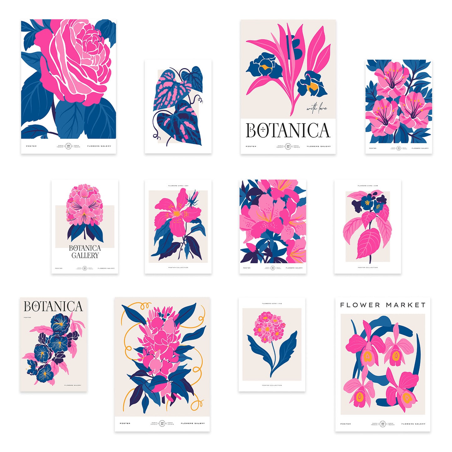 Conjunto de 12 Láminas Botánicas Elegantes con Marco de Color