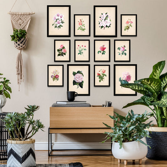 Conjunto de impresiones de flores rosas exquisitas - 12 piezas | Estilo mixto | A3 y A4 | solo impresiones | Impresiones de arte de pared, póster, decoración de pared.