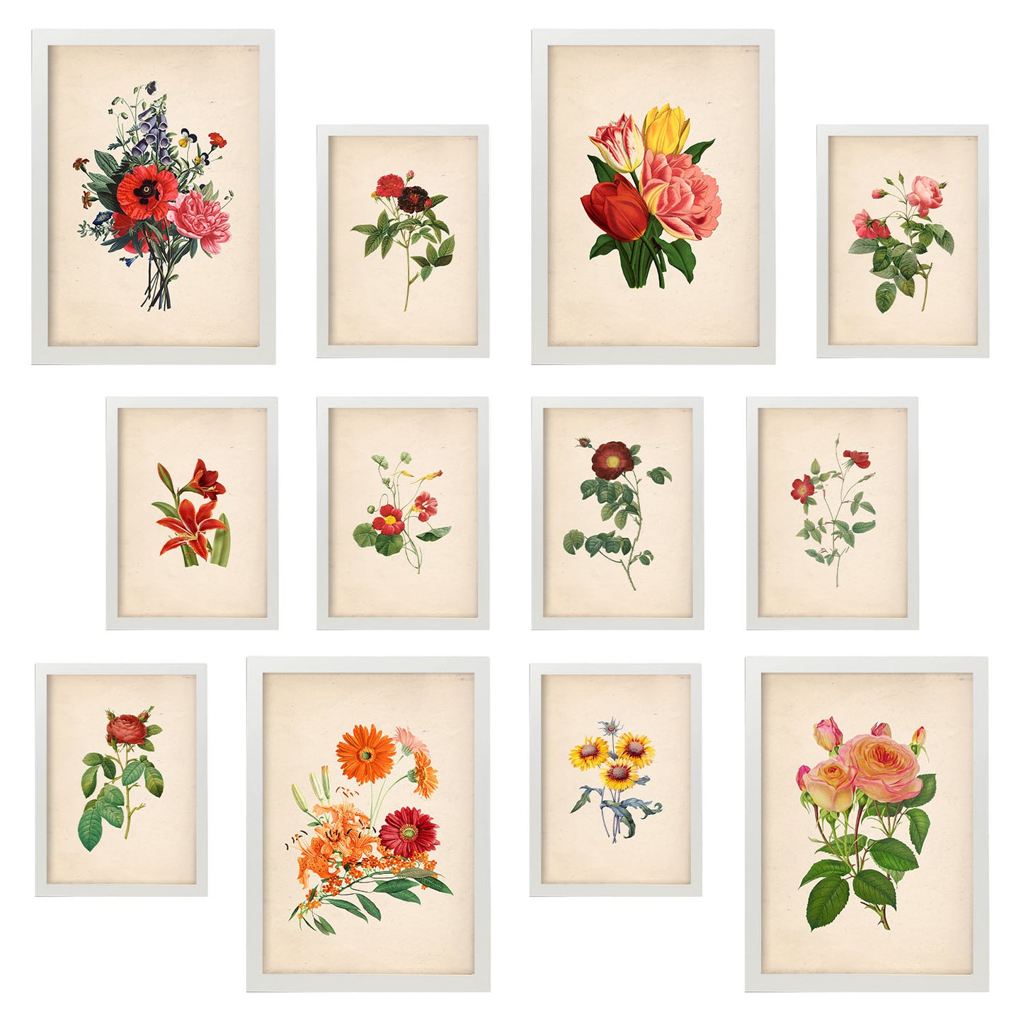 Conjunto de Impresiones de Flores Rojas Vibrantes - Diseño Mixto, Láminas de Arte para Pared