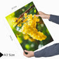 Set de 3 Cuadros de Uvas de Viñedo y Corcho Ilustración impresa en estilo Fotográfico para decorar Cocina, Despensa, Cortijo, Comedor, Restaurante