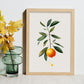 Lámina Minimalista Nacnic Kumquat_1