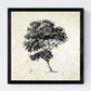 Set de cuatro láminas de arboles. Arboles diferente estructura en cm, fondo papel antiguo vintage .-Artwork-Nacnic-Nacnic Estudio SL