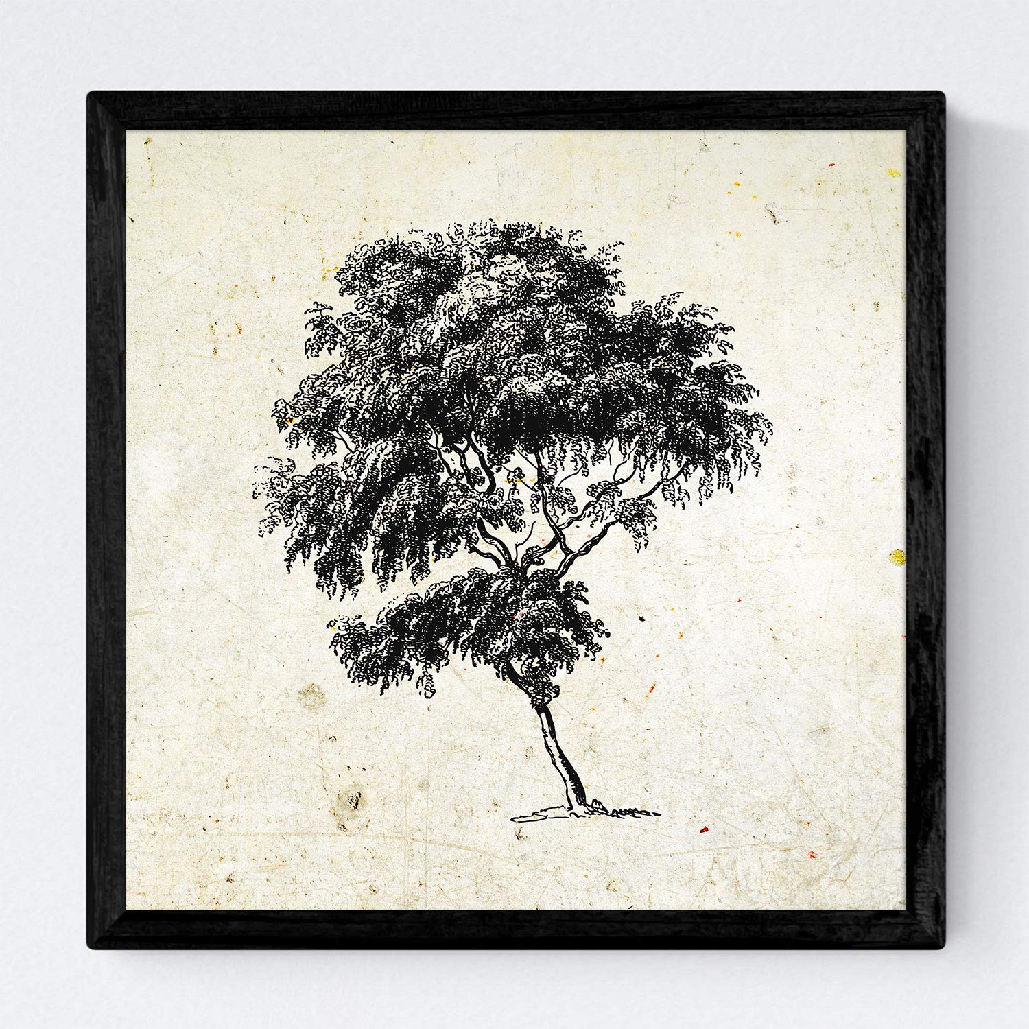 Set de cuatro láminas de arboles. Arboles diferente estructura en cm, fondo papel antiguo vintage .-Artwork-Nacnic-Nacnic Estudio SL