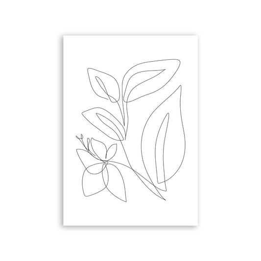 Lámina Nacnic Diseño de Plantas de Espejismo en Flores Surtidas