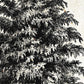 Set de cuatro láminas de arboles. Arboles diferente estructura en cm, fondo papel antiguo vintage .-Artwork-Nacnic-Nacnic Estudio SL
