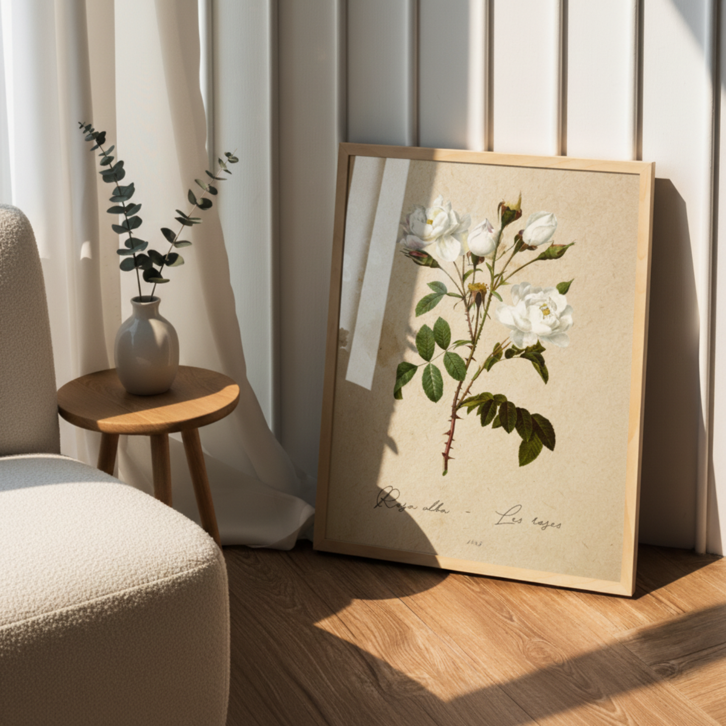 Pack de Láminas Botánicas Mediterráneo de Alta Calidad