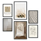 - 6 Láminas Fotografía Dibujo Matisse - Cuadros Decorativos Ilustración Arte Lineal - Pósters para enmarcar Salón Comedor - A3 y A4 -Artwork-Nacnic-Marco Negro-Nacnic Estudio SL