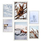 - 6 Pósters Fotografía Animales y Nieve - Láminas Decorativas Modernas para Pared del Hogar, Habitación, Collage, Mural - A3 y A4 -Artwork-Nacnic-Marco Blanco-Nacnic Estudio SL