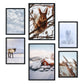 - 6 Pósters Fotografía Animales y Nieve - Láminas Decorativas Modernas para Pared del Hogar, Habitación, Collage, Mural - A3 y A4 -Artwork-Nacnic-Marco Negro-Nacnic Estudio SL