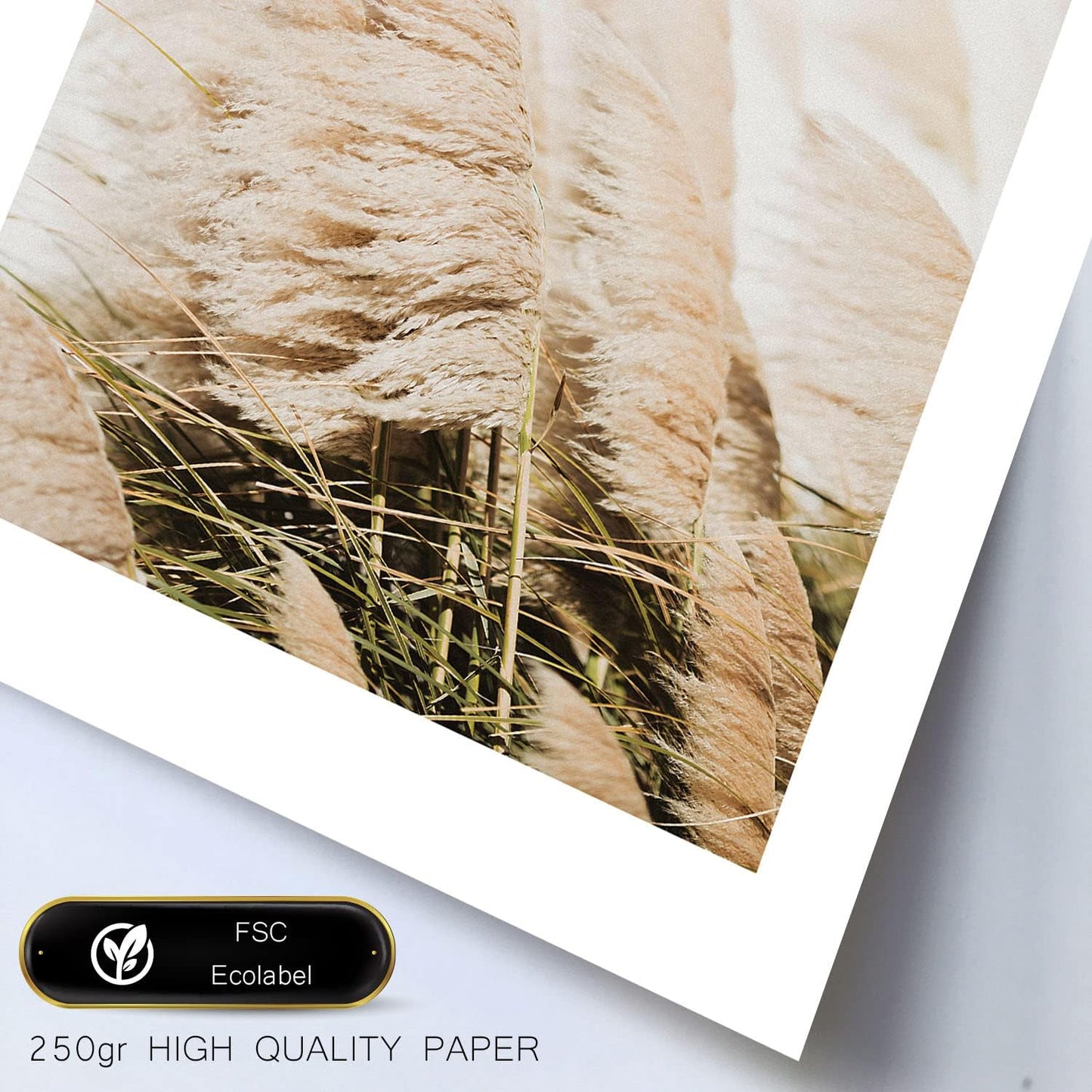 Láminas de Fotografía y Dibujo Matisse para Comedor