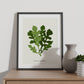 Kale-Artwork-Nacnic-Nacnic Estudio SL