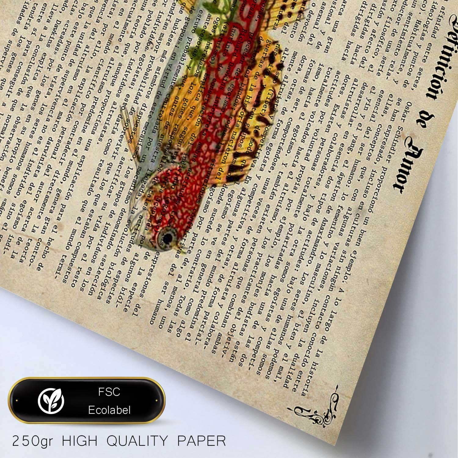 Poster de peces marinos. Lámina de Salarias con definicion. Diseño de peces marinos con definiciones.-Artwork-Nacnic-Nacnic Estudio SL