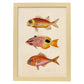 Lámina de tres peces naranjas, rojos y amarillos en , fondo papel vintage.-Artwork-Nacnic-A4-Marco Madera clara-Nacnic Estudio SL