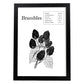 Poster de Brambles. Láminas de frutas y verduras en inglés.-Artwork-Nacnic-A3-Marco Negro-Nacnic Estudio SL