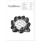 Poster de Cauliflower. Láminas de frutas y verduras en inglés.-Artwork-Nacnic-A4-Sin marco-Nacnic Estudio SL