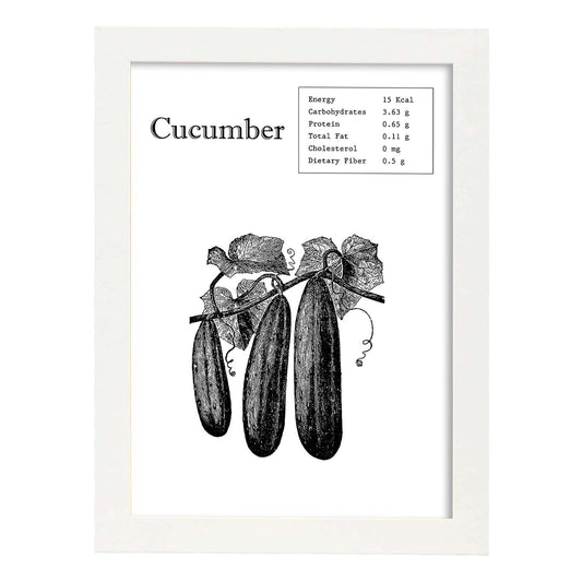 Poster de Cucumber. Láminas de frutas y verduras en inglés.-Artwork-Nacnic-A4-Marco Blanco-Nacnic Estudio SL