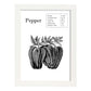 Poster de Pepper. Láminas de frutas y verduras en inglés.-Artwork-Nacnic-A4-Marco Blanco-Nacnic Estudio SL
