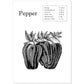 Poster de Pepper. Láminas de frutas y verduras en inglés.-Artwork-Nacnic-A4-Sin marco-Nacnic Estudio SL