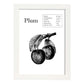 Poster de Plum. Láminas de frutas y verduras en inglés.-Artwork-Nacnic-A3-Marco Blanco-Nacnic Estudio SL
