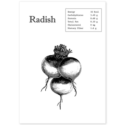 Poster de Radish. Láminas de frutas y verduras en inglés.-Artwork-Nacnic-A4-Sin marco-Nacnic Estudio SL