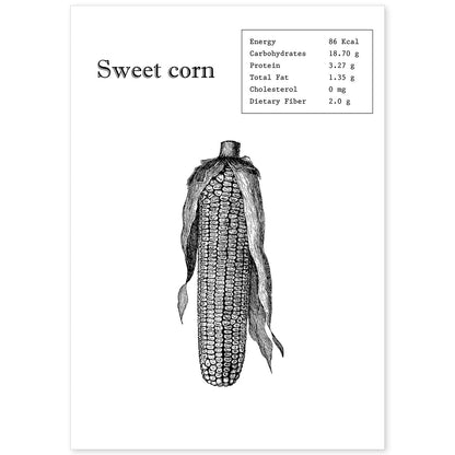 Poster de Sweet corn. Láminas de frutas y verduras en inglés.-Artwork-Nacnic-A4-Sin marco-Nacnic Estudio SL