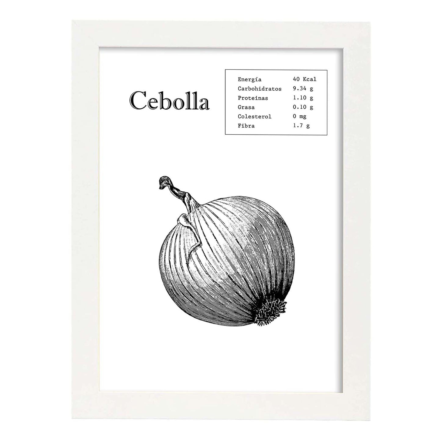 Poster de Cebolla. Láminas de frutas y verduras.-Artwork-Nacnic-A4-Marco Blanco-Nacnic Estudio SL