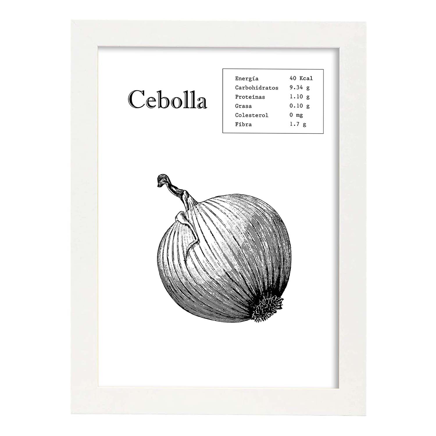 Poster de Cebolla. Láminas de frutas y verduras.-Artwork-Nacnic-A4-Marco Blanco-Nacnic Estudio SL