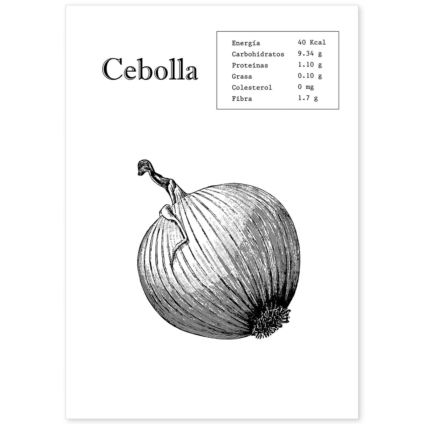 Poster de Cebolla. Láminas de frutas y verduras.-Artwork-Nacnic-A4-Sin marco-Nacnic Estudio SL